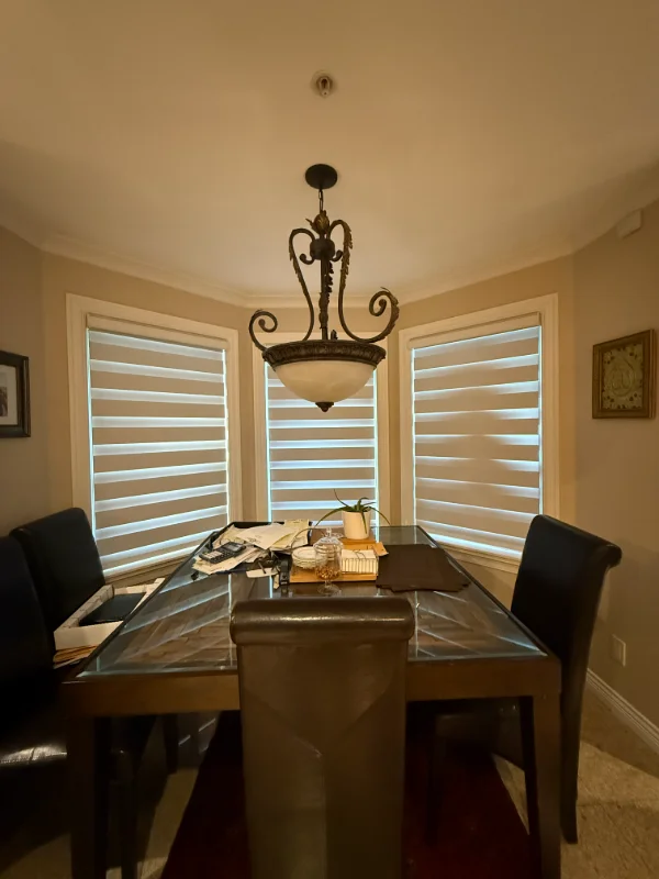 Three zebra shades across a traditional dining bay window in evening light